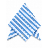 Guardanapo de Algodão Listrado em Azul.