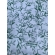 Guardanapo 100% Algodão Estampado